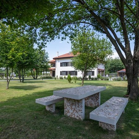 Pensiunea Negoiu Porumbacu de Sus Extérieur photo