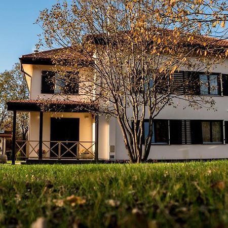 Pensiunea Negoiu Porumbacu de Sus Extérieur photo