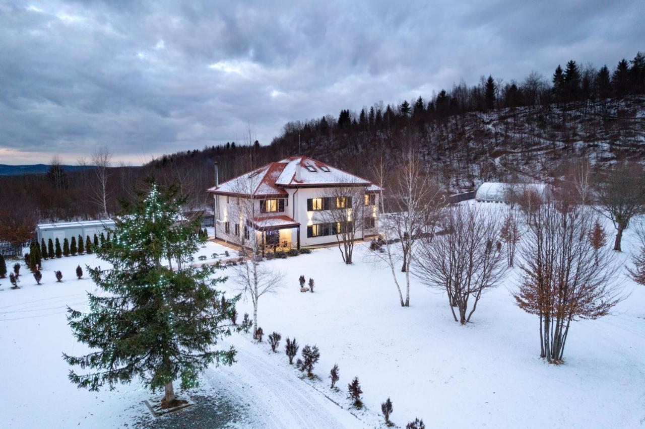 Pensiunea Negoiu Porumbacu de Sus Extérieur photo