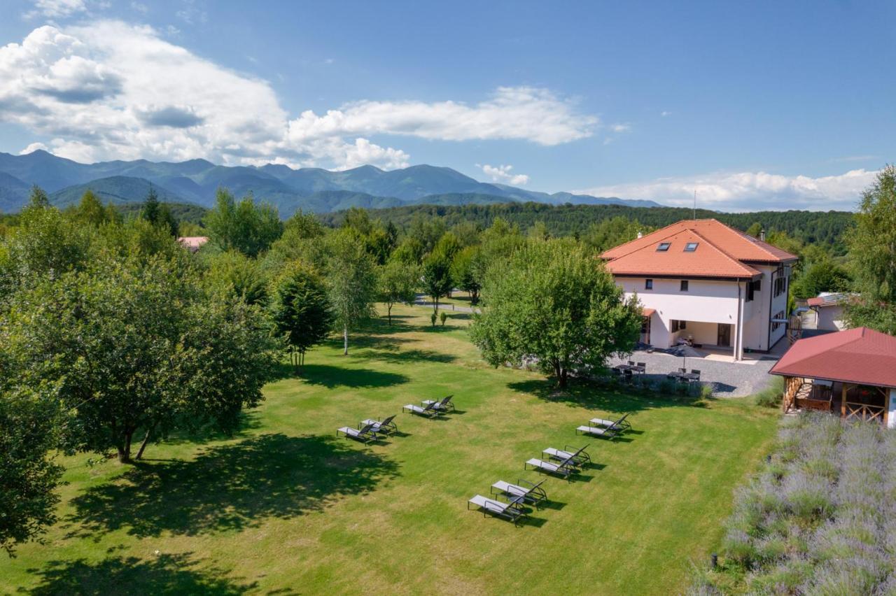 Pensiunea Negoiu Porumbacu de Sus Extérieur photo