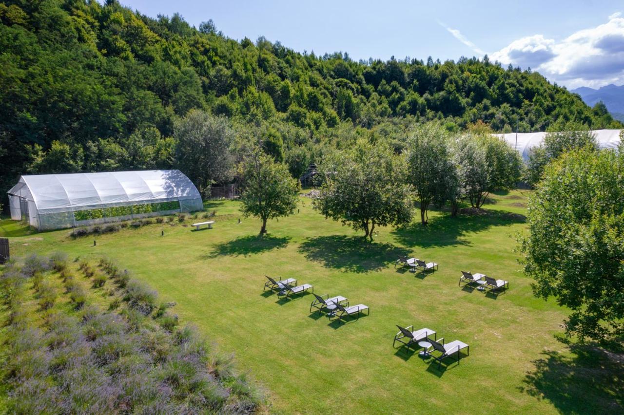 Pensiunea Negoiu Porumbacu de Sus Extérieur photo