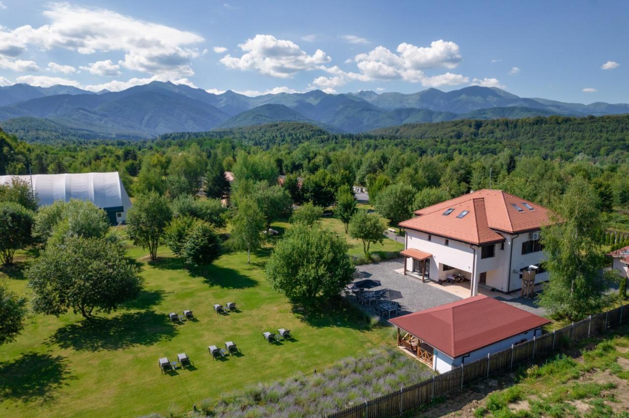 Pensiunea Negoiu Porumbacu de Sus Extérieur photo