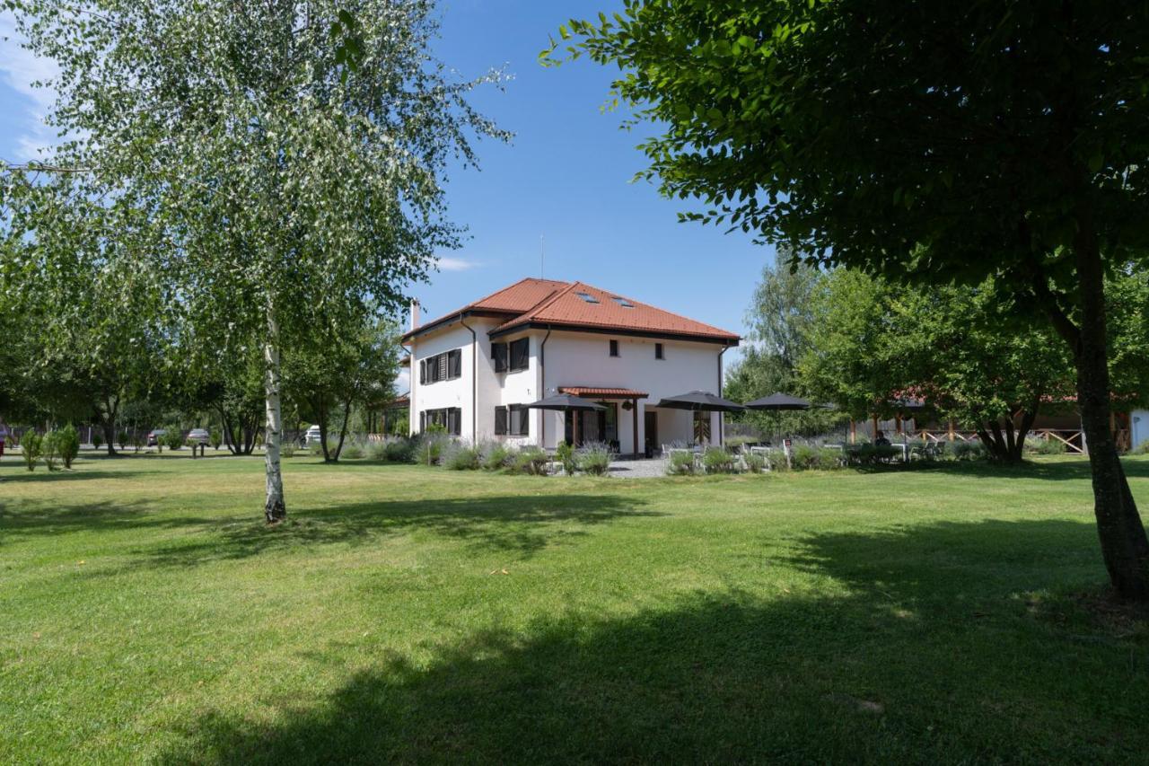 Pensiunea Negoiu Porumbacu de Sus Extérieur photo