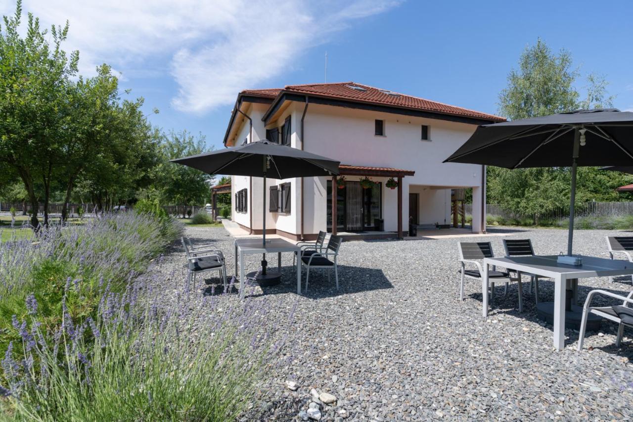 Pensiunea Negoiu Porumbacu de Sus Extérieur photo