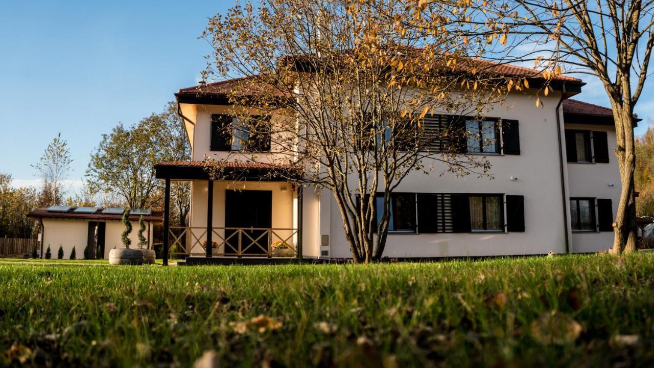 Pensiunea Negoiu Porumbacu de Sus Extérieur photo