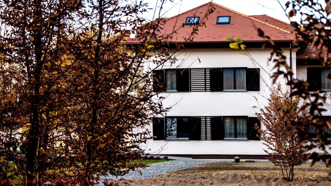 Pensiunea Negoiu Porumbacu de Sus Extérieur photo