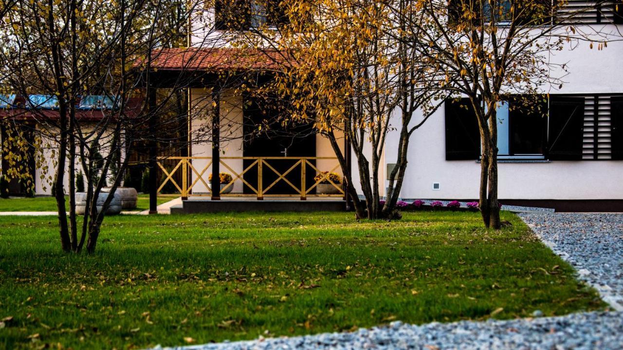 Pensiunea Negoiu Porumbacu de Sus Extérieur photo